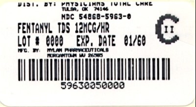 Fentanyl Transdermal System 12 Mcg/hr Carton (Package Label 02)